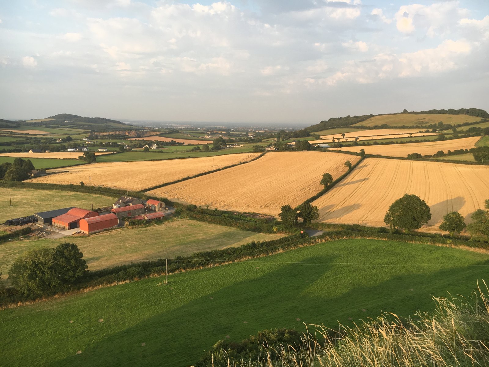 Evening light over fields in Co. Laois